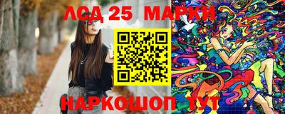 2c-b Кингисепп