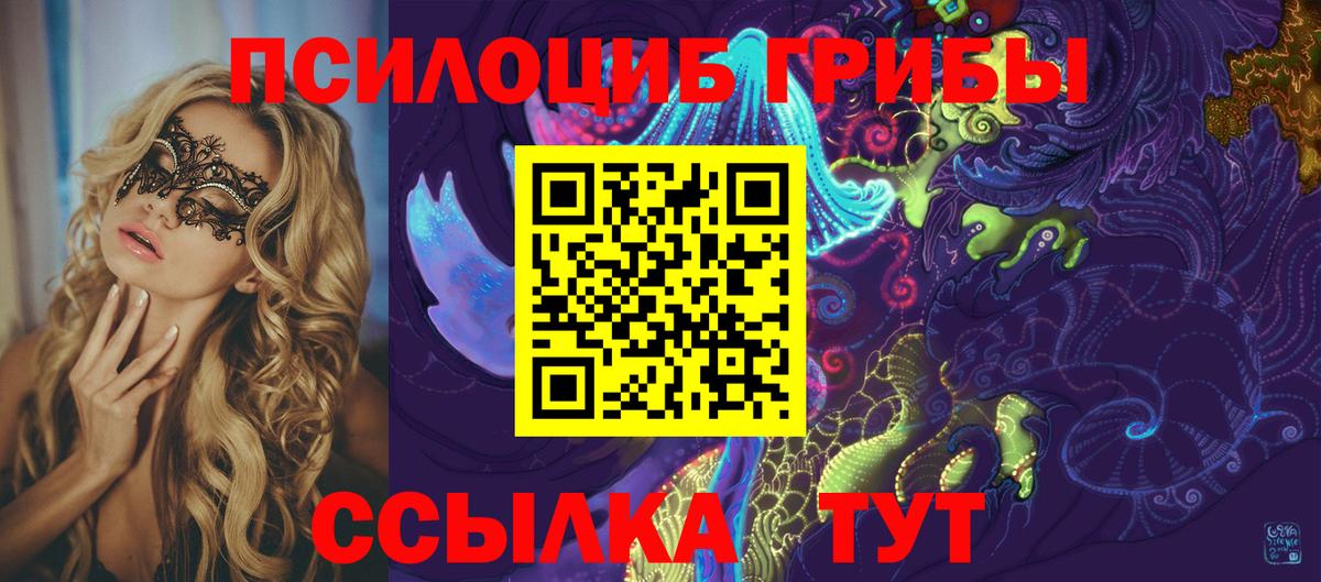 Киселёвск  Галлюциногенные грибы Magic Shrooms  Вход с VPN 