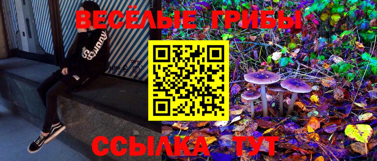 Галлюциногенные грибы ЛСД Киселёвск